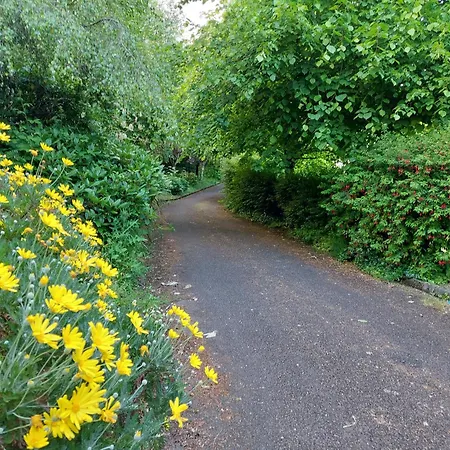 Happy Sandy Feet Youghal