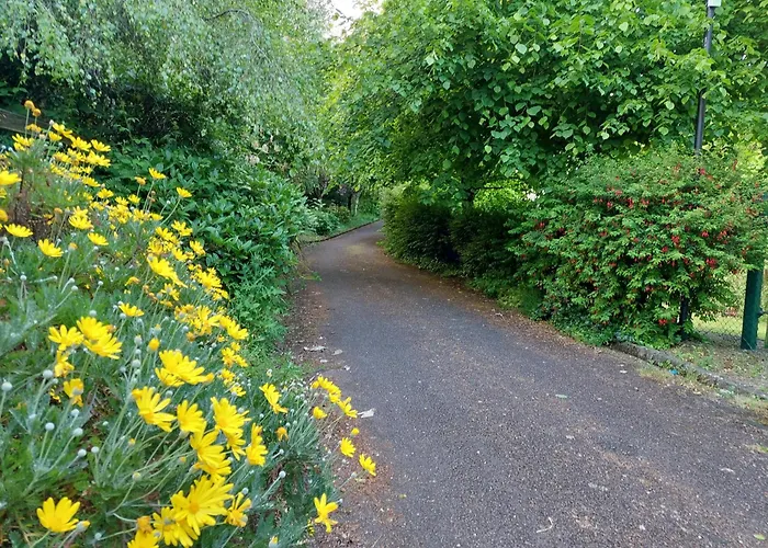 Happy Sandy Feet Youghal